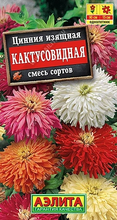 Цинния Кактусовидная, смесь сортов 5 шт (АЭЛИТА)
