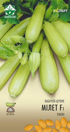 Кабачок Милет F1, 6 шт (Эксперт) (МССО) Кабачок Милет F1, 6 шт (Эксперт) (МССО)