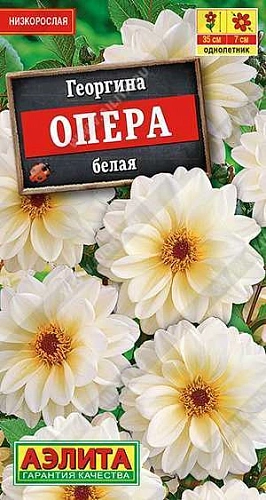 Георгина Опера белая, 7 шт (АЭЛИТА) Георгина Опера белая, 7 шт (АЭЛИТА)