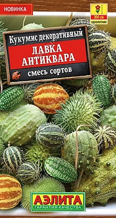 Кукумис декоративный Лавка антиквара, смесь сортов 10 шт Кукумис декоративный Лавка антиквара, смесь сортов 10 шт