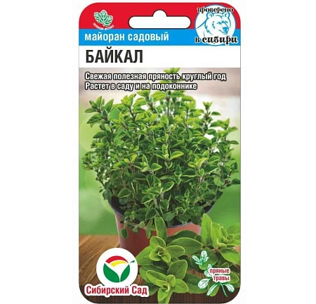 Майоран Байкал, 0,1 г (Сиб Сад)