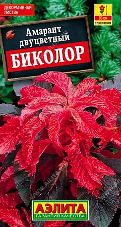 Амарант Биколор 0,5 г (АЭЛИТА) Амарант Биколор 0,5 г (АЭЛИТА)