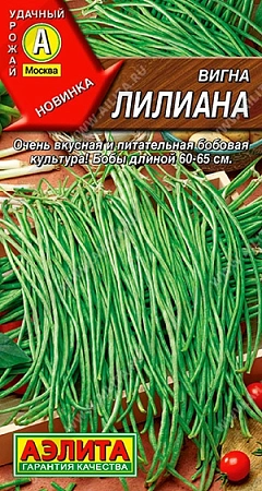 Вигна Лилиана, 5 г