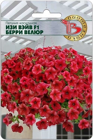 Петуния каскадная Изи Вэйв Берри Велюр F1, 5 шт (Биотехника)