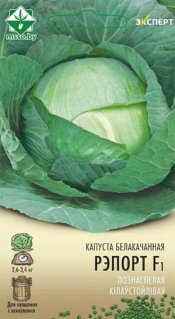 Капуста белокочанная Репорт F1, 10 шт (МССО) Капуста белокочанная Репорт F1, 10 шт (МССО)