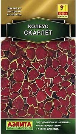 Колеус блюме Скарлет, 5 шт (Аэлита)