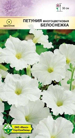 Петуния гибридная многоцветковая Белоснежка, 200 шт (МССО) Петуния гибридная многоцветковая Белоснежка, 200 шт (МССО)