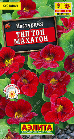 Настурция Тип топ махагон, 5 шт (Аэлита) Настурция Тип топ махагон, 5 шт (Аэлита)