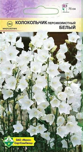 Колокольчик персиколистный Белый 0,1 г (МССО) Колокольчик персиколистный Белый 0,1 г (МССО)