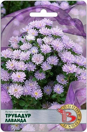 Астра китайская Трубадур Лаванда, 20 шт (Биотехника) Астра китайская Трубадур Лаванда, 20 шт (Биотехника)