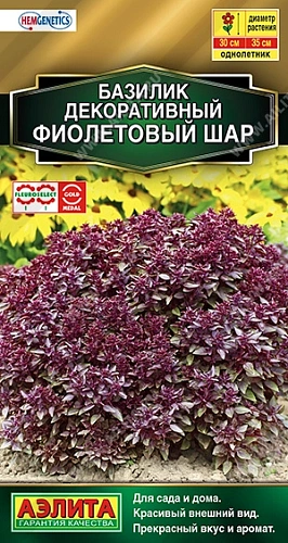 Базилик декоративный Фиолетовый шар, 10 шт (АЭЛИТА) Базилик декоративный Фиолетовый шар, 10 шт (АЭЛИТА)