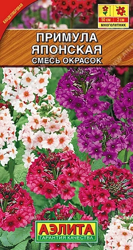 Примула японская, смесь окрасок 20 шт Примула японская, смесь окрасок 20 шт
