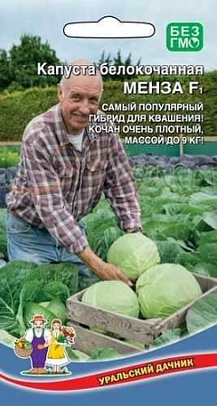 Капуста белокочанная Менза F1 (УД) Капуста белокочанная Менза F1 (УД)