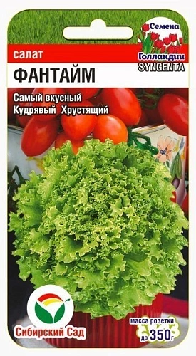 Салат Фантайм F1, 10 шт Салат Фантайм F1, 10 шт