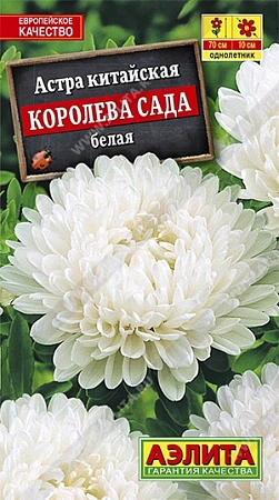 Астра Королева сада белая 0,2 г (АЭЛИТА) Астра Королева сада белая 0,2 г (АЭЛИТА)