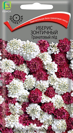 Иберис зонтичный Гранатовый лед, 0,1 г (Поиск)