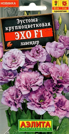 Эустома Эхо F1 лавендер крупноцветковая, 5 шт (Аэлита) Эустома Эхо F1 лавендер крупноцветковая, 5 шт (Аэлита)