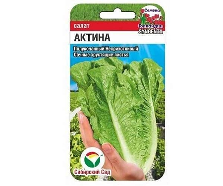 Салат Актина 10шт (Сиб Сад) Салат Актина 10шт (Сиб Сад)
