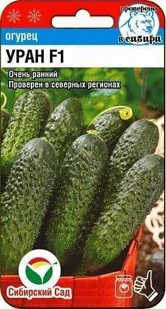 Огурец Уран F1, 5 шт (Сиб Сад)