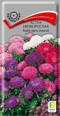 Астра низкорослая Ковер, смесь 0,2 г (Поиск)