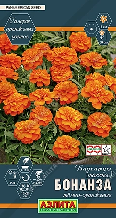 Бархатцы Бонанза темно-оранжевые, 10 шт Бархатцы Бонанза темно-оранжевые, 10 шт