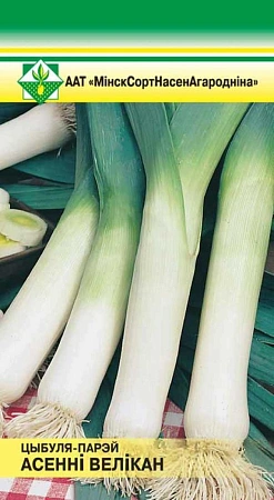 Лук порей Осенний великан, 0,5 г (МССО)