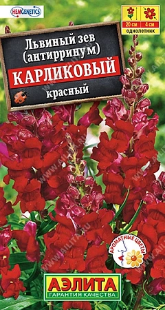 Львиный зев Карликовый красный, 10 шт