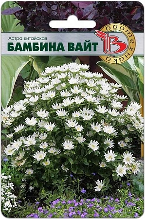 Астра китайская Бамбина Вайт, 20 шт (Биотехника) Астра китайская Бамбина Вайт, 20 шт (Биотехника)