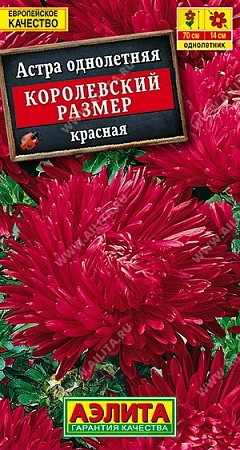 Астра королевский размер красная 0,1 г