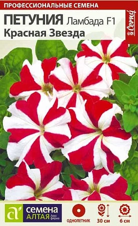 Петуния Ламбада Красная звезда F1, 10 шт Петуния Ламбада Красная звезда F1, 10 шт