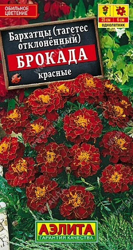 Бархатцы Брокада красные, 0,3 г (Аэлита) Бархатцы Брокада красные, 0,3 г (Аэлита)