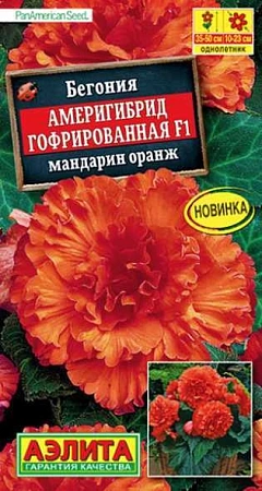Бегония Америгибрид гофрированная F1 мандарин оранж, 5 шт (Аэлита)