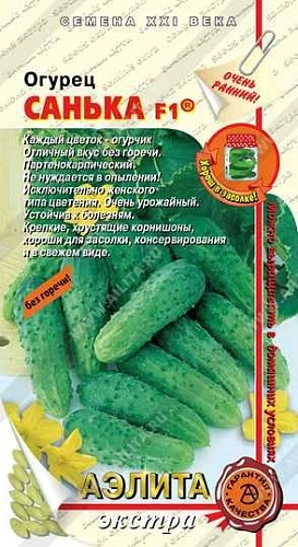 Огурец Санька F1, 10 шт (Аэлита) Огурец Санька F1, 10 шт (Аэлита)