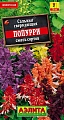 Сальвия Попурри, смесь сортов 0,1 г Сальвия Попурри, смесь сортов 0,1 г