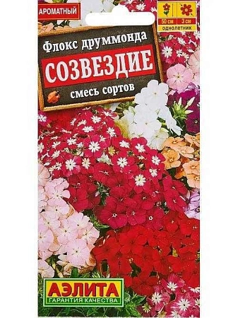 Флокс друммонда Созвездие, смесь сортов (Аэлита)