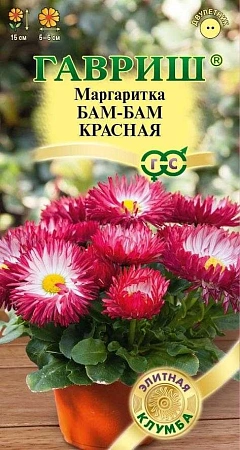 Маргаритка Бам-Бам красная многолетник, 7 шт (Гавриш)