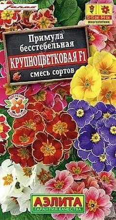 Примула Крупноцветковая F1, смесь сортов 7 шт