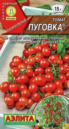Томат Пуговка, 20 шт