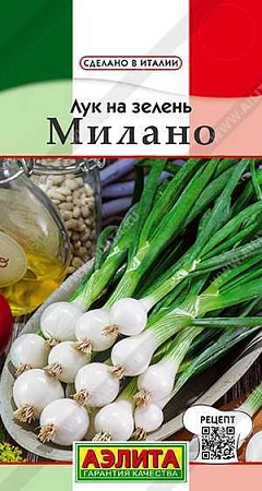 Лук на зелень Милано 0,5 г (АЭЛИТА) Лук на зелень Милано 0,5 г (АЭЛИТА)