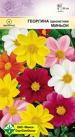 Георгина Миньон однолетняя, смесь 0,3 г (МССО)