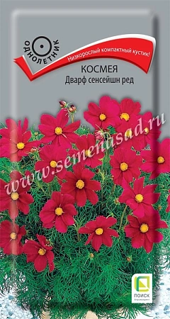 Космея Дварф сенсейшн Ред 0,2 г (Поиск)