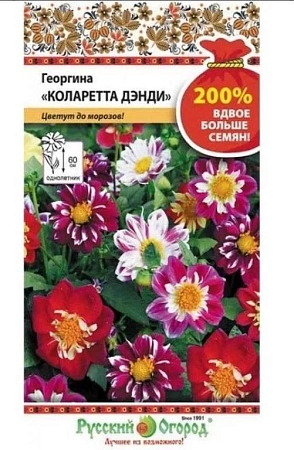 Георгина Коларетте дэнди смесь, 0,4 г (Русский огород) Георгина Коларетте дэнди смесь, 0,4 г (Русский огород)