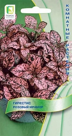 Гипестис Розовый мрамор 7 шт Гипестис Розовый мрамор 7 шт