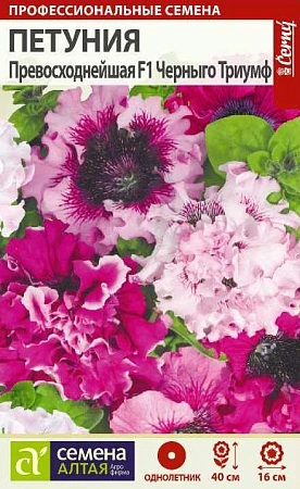 Петуния Превосходнейшая Черныго Триумф F1, 10 шт Петуния Превосходнейшая Черныго Триумф F1, 10 шт