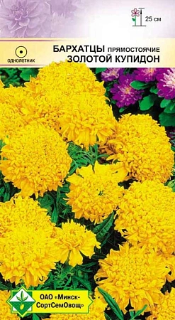 Бархатцы Золотой Купидон 0,3 г прямостоячие (МССО) Бархатцы Золотой Купидон 0,3 г прямостоячие (МССО)