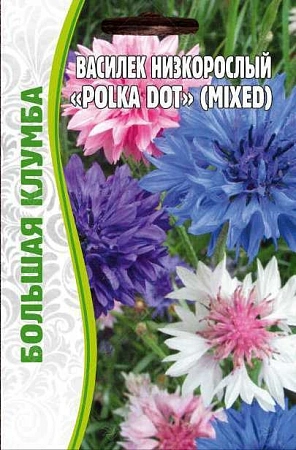 Василек низкорослый Polka Dot Mixed Большая клумба однолетник, 1 г (Ред.Сем)