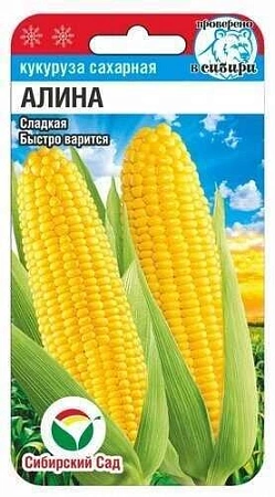 Кукуруза Алина, 6 шт (Сиб Сад)