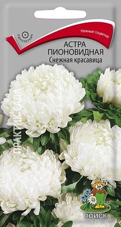Астра Снежная красавица, 0,3 г Астра Снежная красавица, 0,3 г