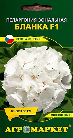 Пеларгония Бланка F1, 5 шт (Агромаркет)