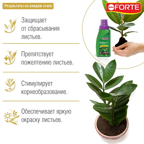 Удобрение Bona Forte ЖКУ Здоровье для декоративно-лиственных растений (285 мл) Удобрение Bona Forte ЖКУ Здоровье для декоративно-лиственных растений (285 мл)